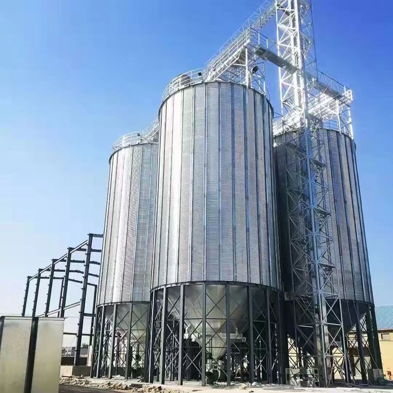 Complete set of rice mill equipment,rice processing